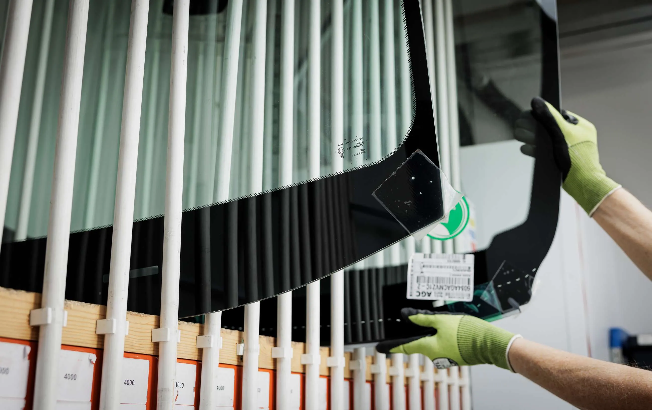 promozione della diversità